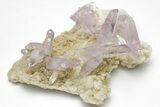 Amethyst Crystal Cluster - Las Vigas, Mexico #204538-1